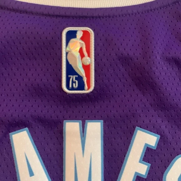 Nike NBA Los Angeles Lakers City Edition Lebron James 6 Dri-FIT Swingman Jersey - Picture 7 of 7